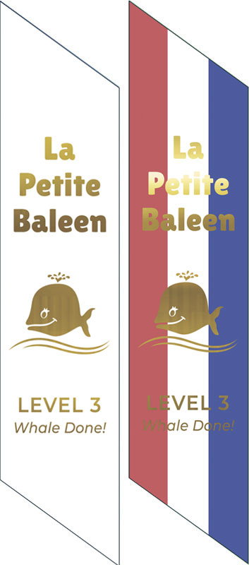 Level 3 Ribbons